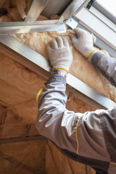 Best Blown-in Insulation in Rosedale, MD