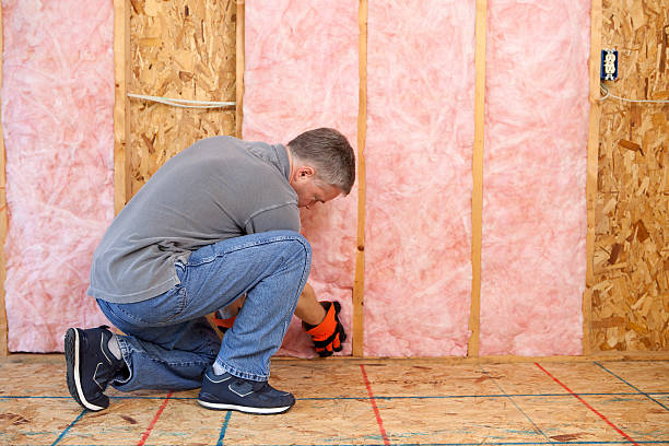Best Residential Insulation in Rosedale, MD