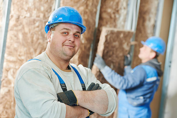 Best Geographic-Specific Insulation Services in Rosedale, MD