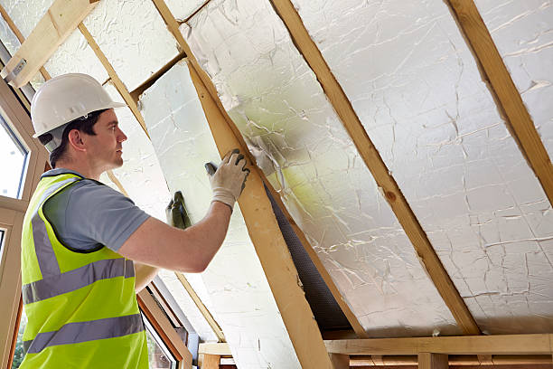 Best Commercial Insulation in Rosedale, MD